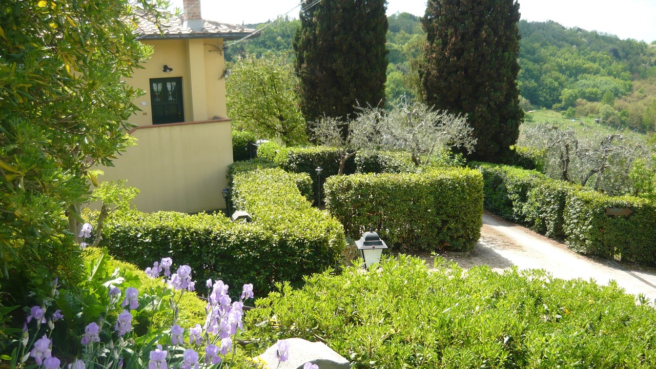 Photo of Outdoor in Gavignano