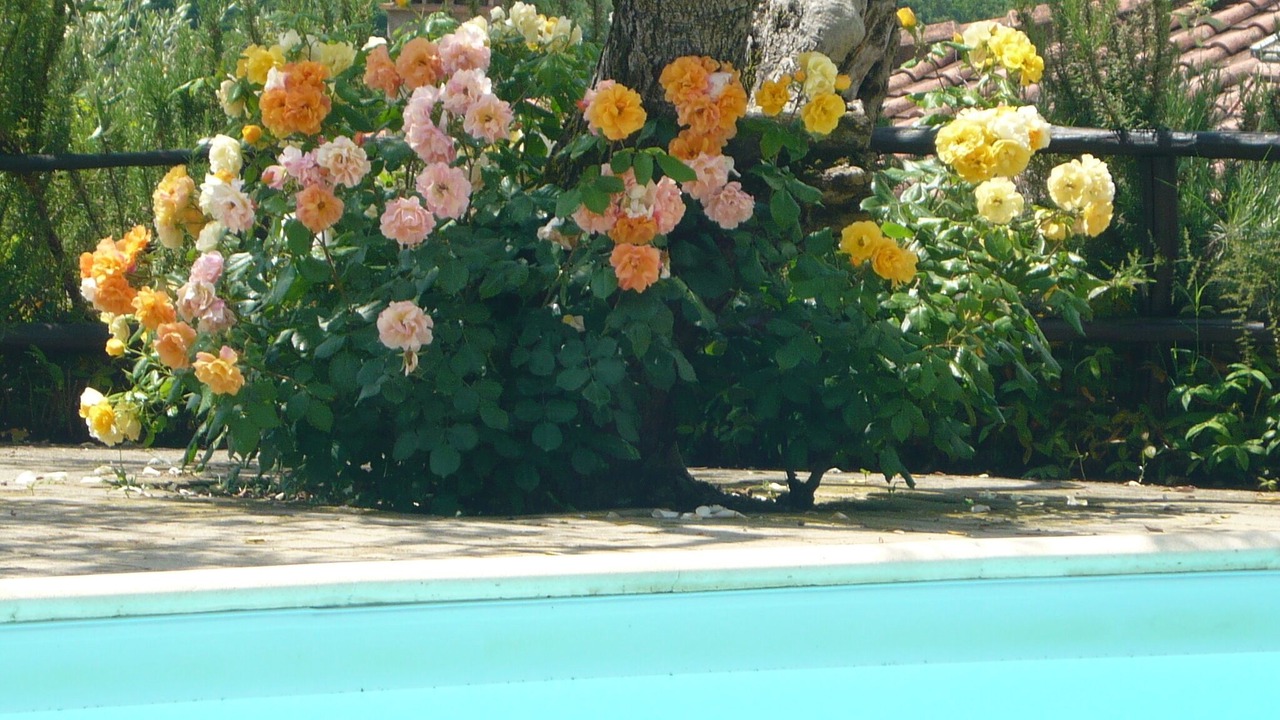 Photo of Outdoor in Gavignano