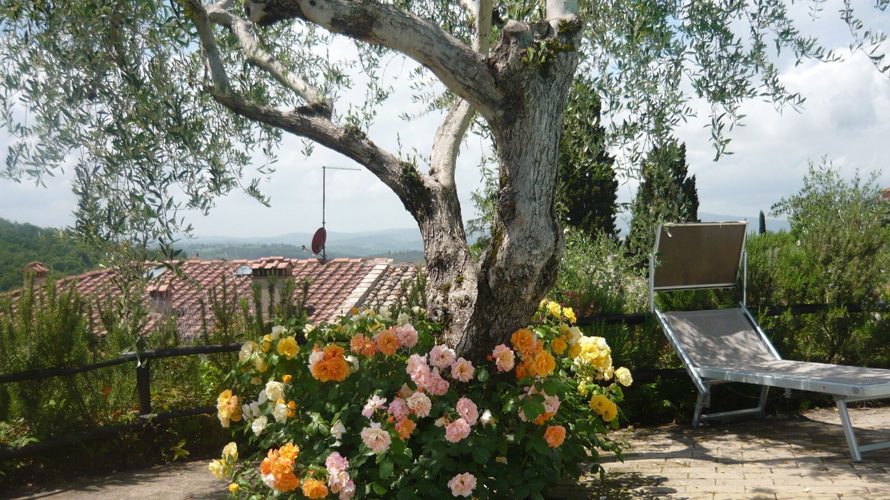 Photo of Outdoor in Poggibonsi
