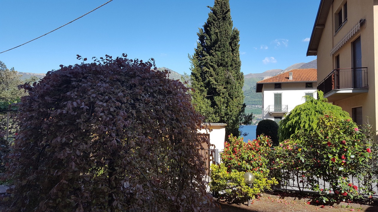 Photo of Outdoor in Lezzeno