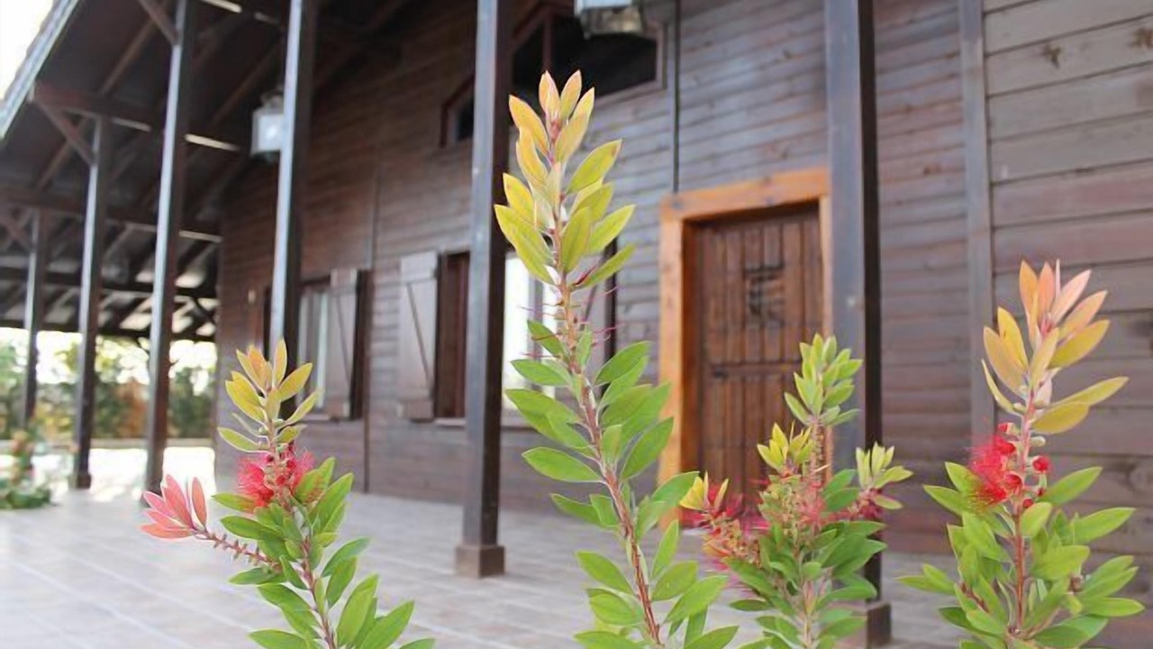 Photo of Outdoor in Mascaraque