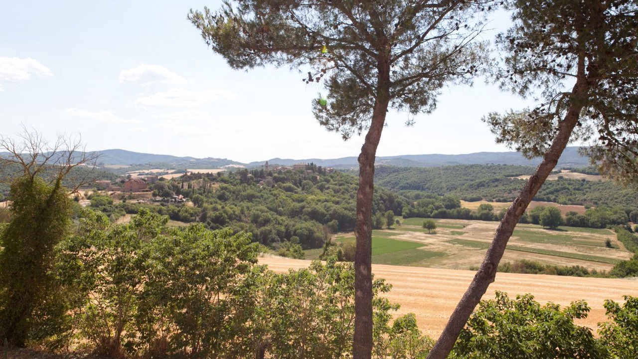 Photo of Others in Marsciano