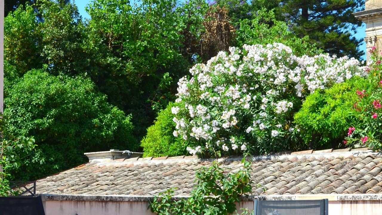 Photo of Patio Balcony in Valverde