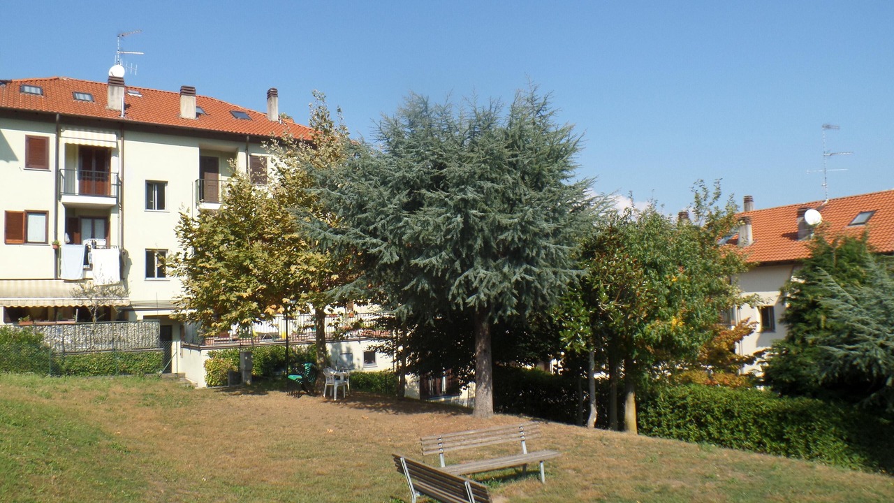 Photo of Outdoor in Carciano