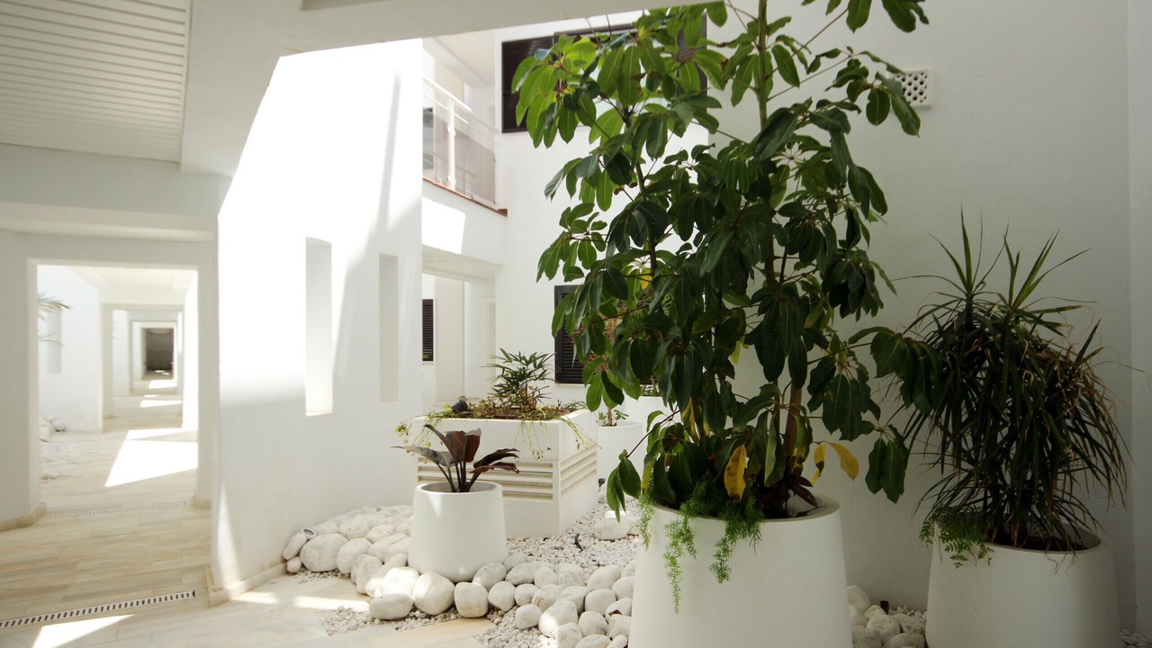 Photo of Outdoor in Casares del Mar