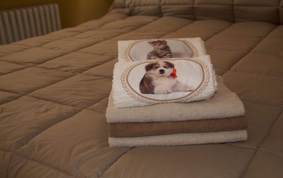 Photo of Bedroom in Fontainemore