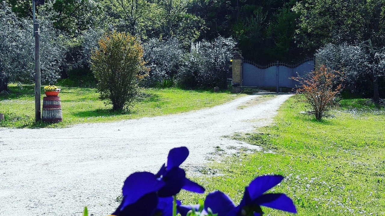 Photo of Outdoor in Castel Viscardo