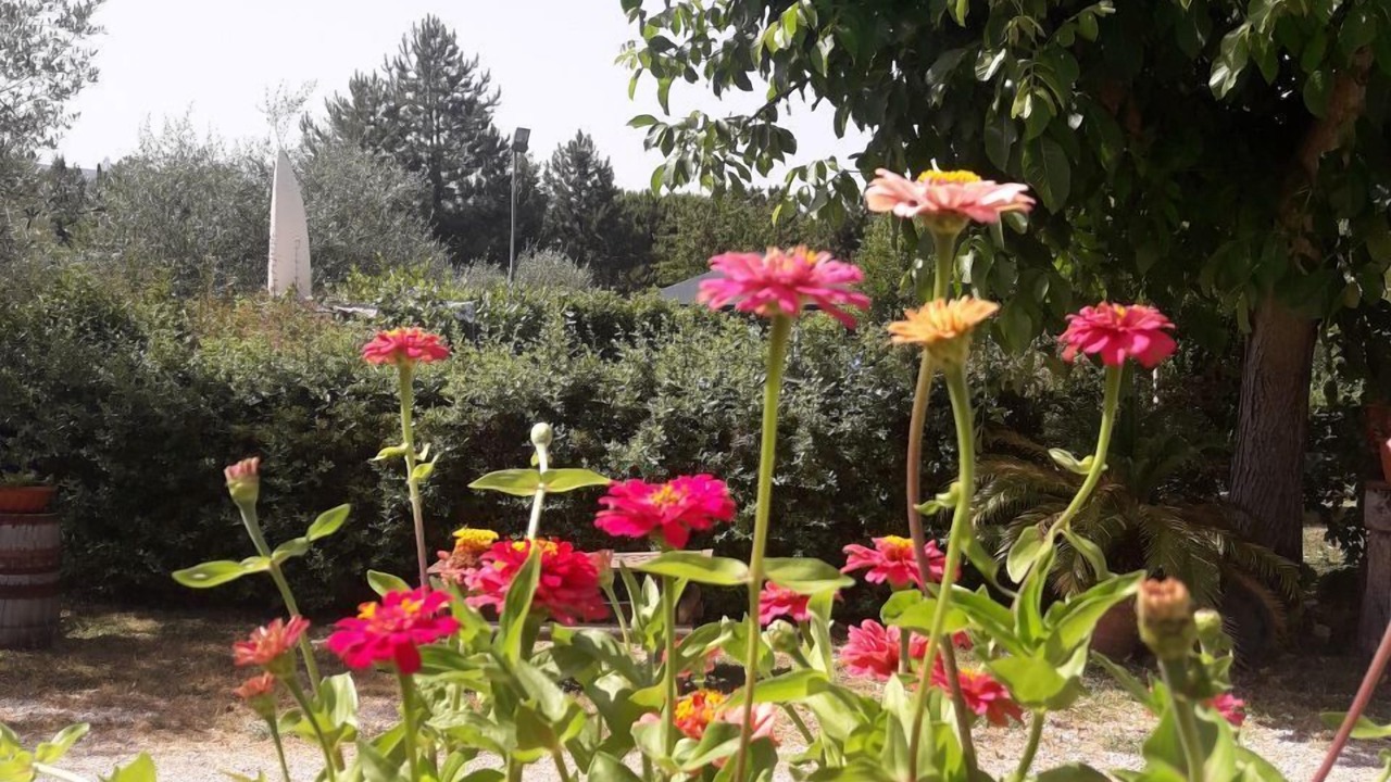 Photo of Outdoor in Castel Viscardo
