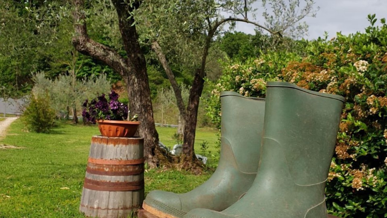 Photo of Outdoor in Castel Viscardo
