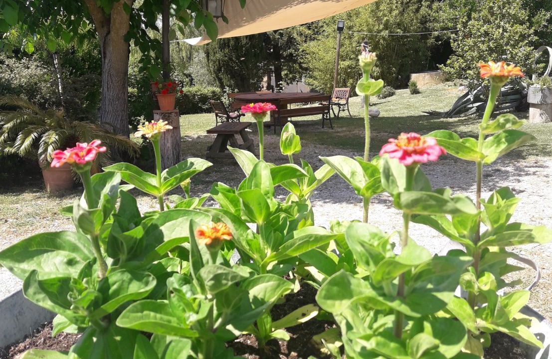 Photo of Outdoor in Castel Viscardo