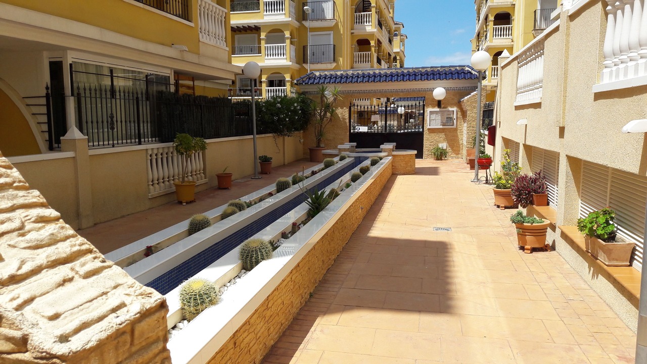 Photo of Outdoor in Algorfa