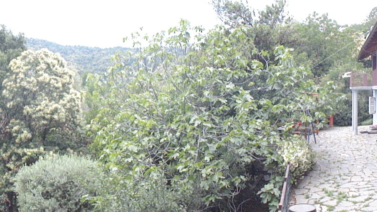 Photo of Outdoor in Manta