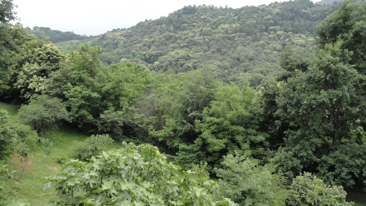 Photo of Outdoor in Manta