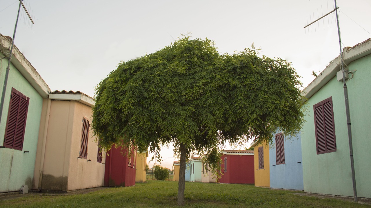 Photo of Bedroom in Marina di Altidona