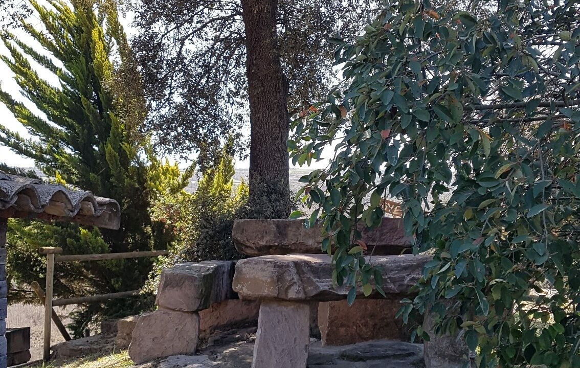 Photo of Outdoor in Pinos