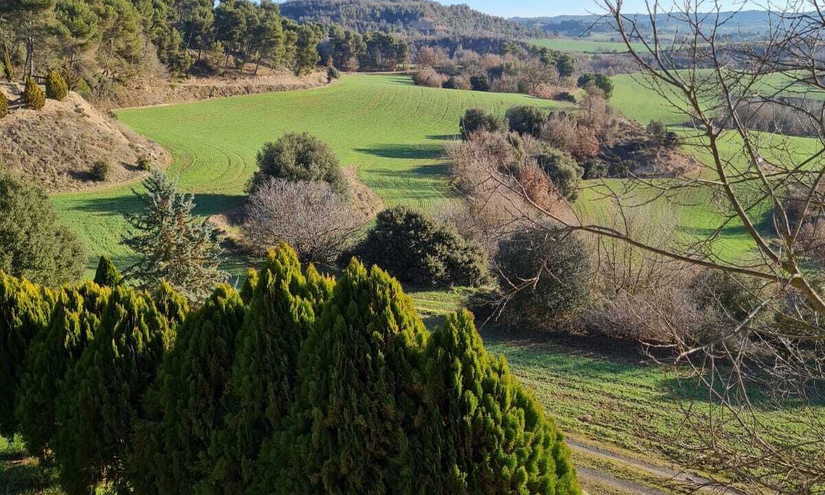 Photo of Outdoor in Pinos