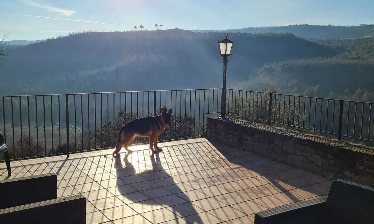 Photo of Patio Balcony in Pinos