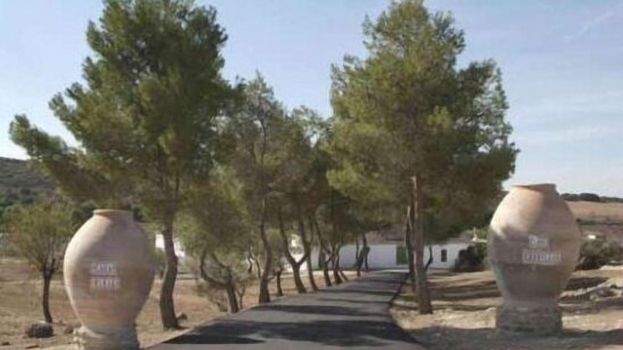 Photo of Outdoor in Argamasilla de Alba