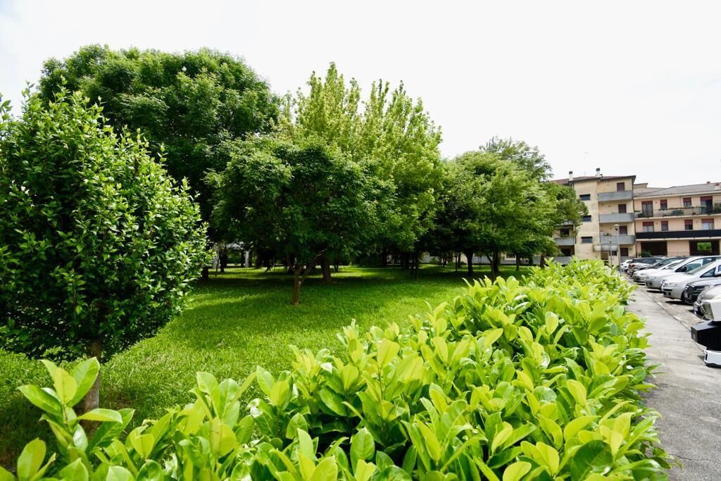 Photo of Outdoor in Tessera