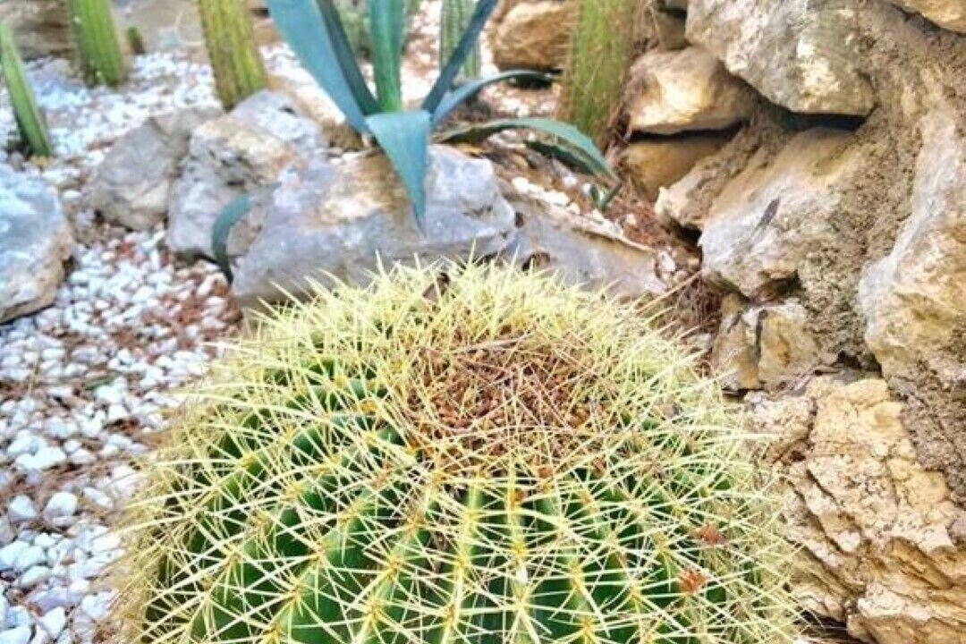Photo of Outdoor in El Vendrell