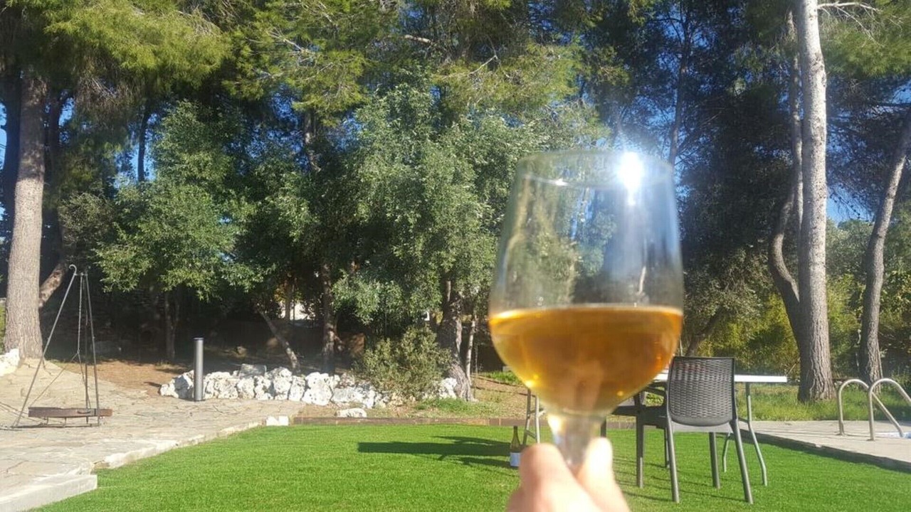 Photo of Outdoor in El Vendrell