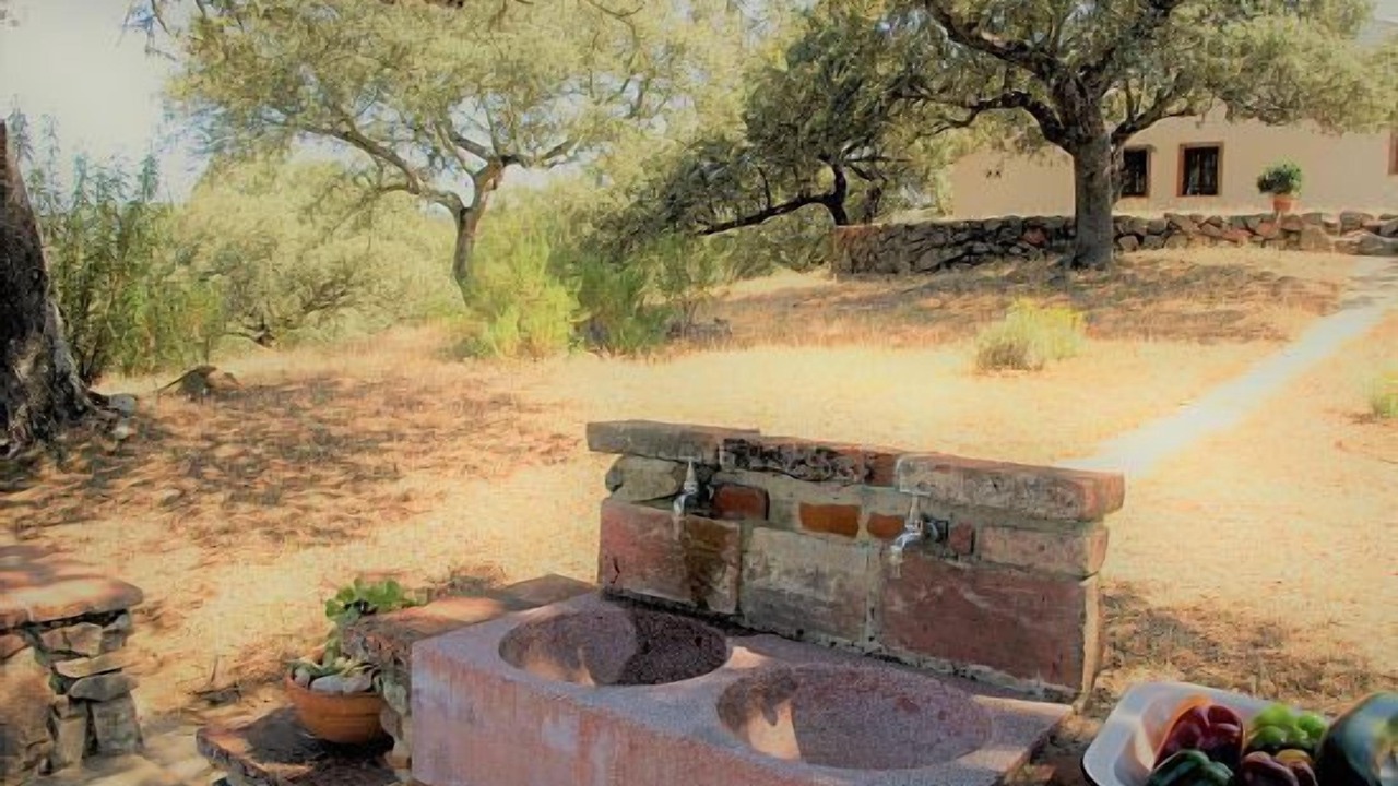Photo of Outdoor in Villaviciosa de Cordoba