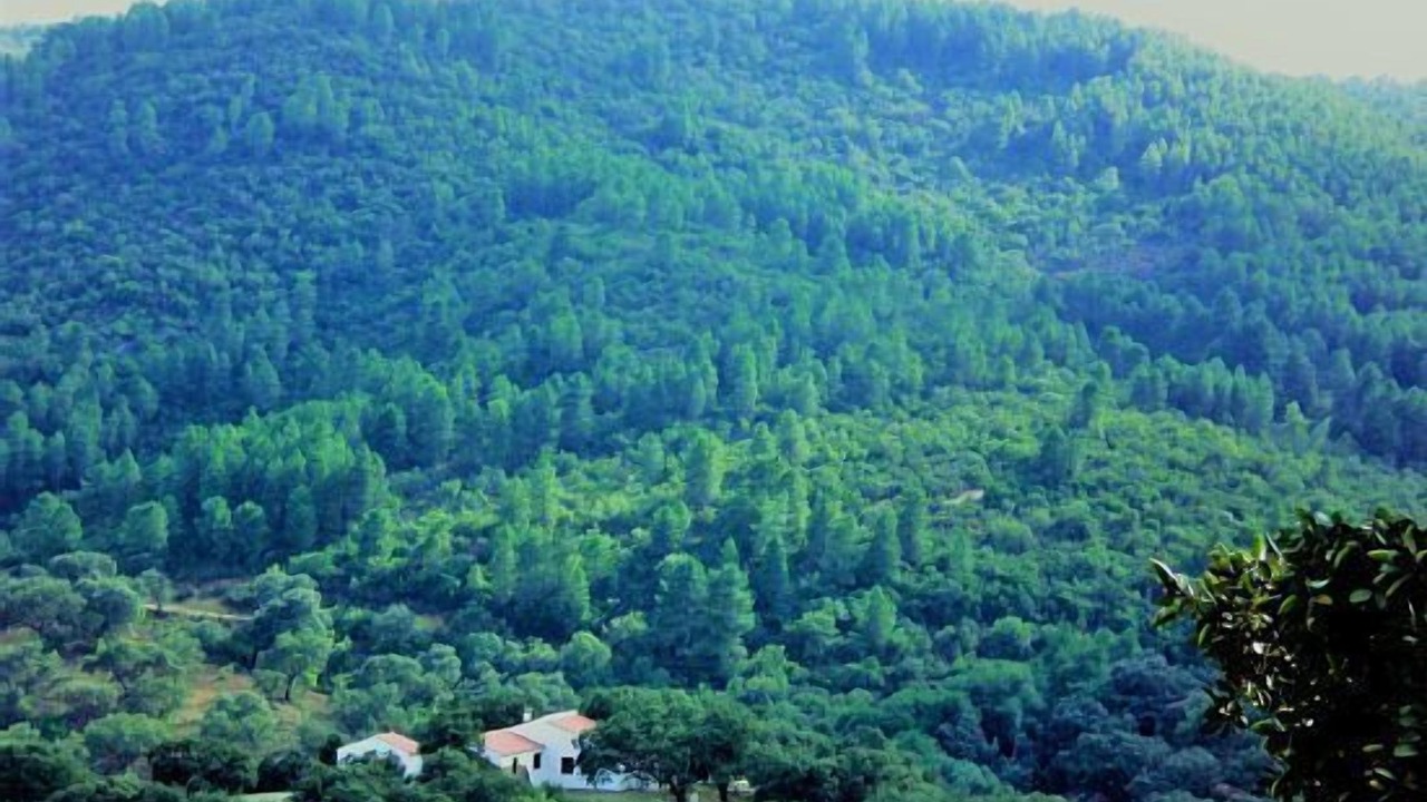 Photo of Outdoor in Villaviciosa de Cordoba