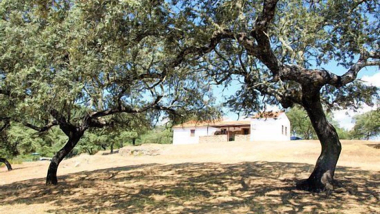 Photo of Outdoor in Villaviciosa de Cordoba