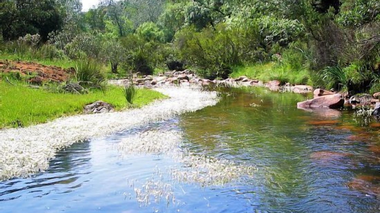 Photo of Outdoor in Villaviciosa de Cordoba