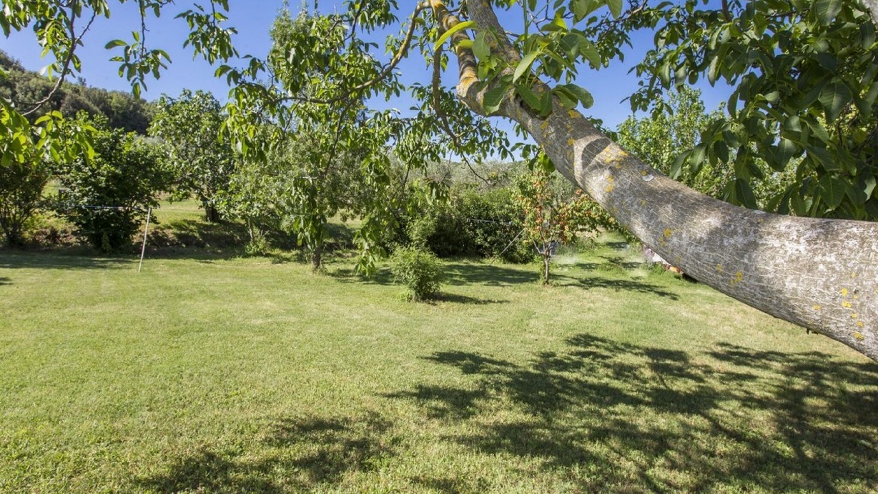 Photo of Outdoor in Civitella Paganico