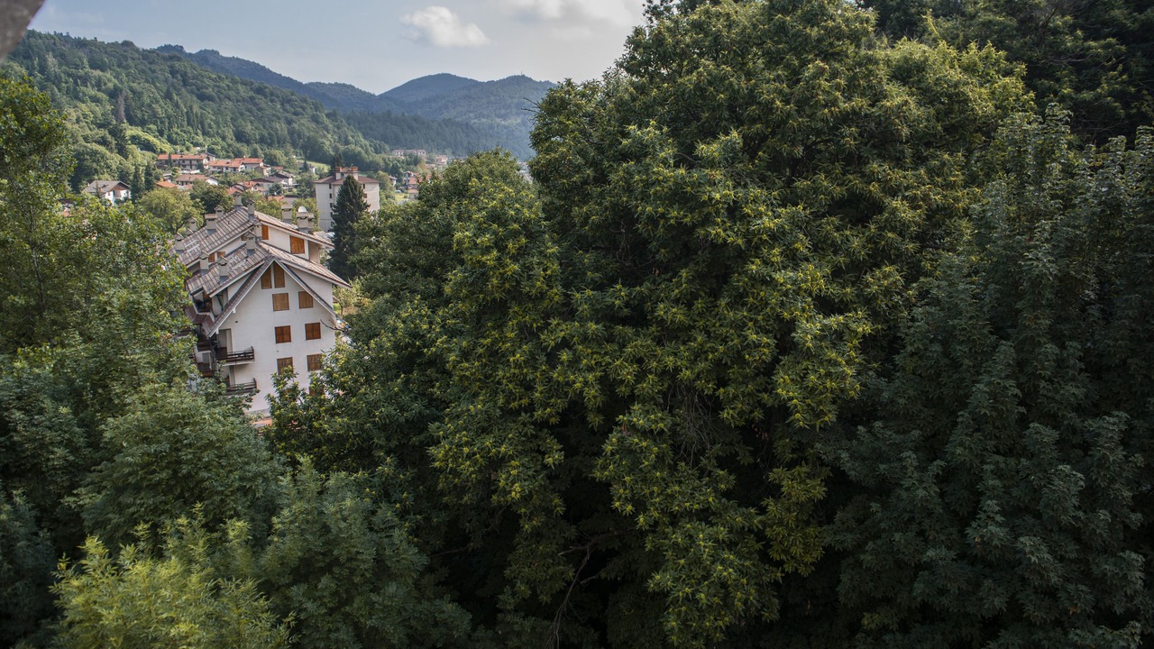 Photo of Outdoor in Roccaforte Mondovi