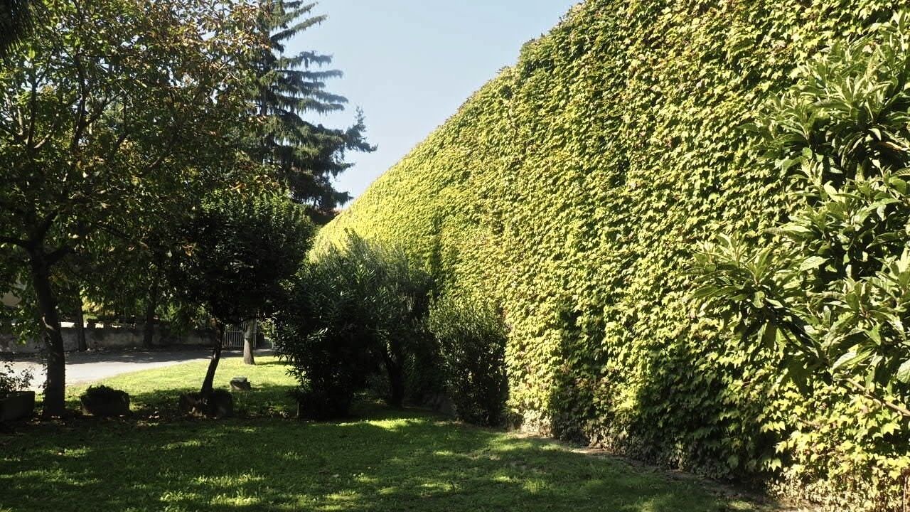 Photo of Outdoor in Canelli