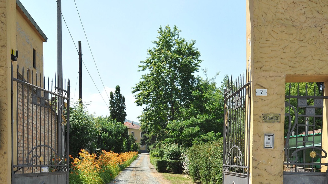 Photo of Outdoor in Canelli