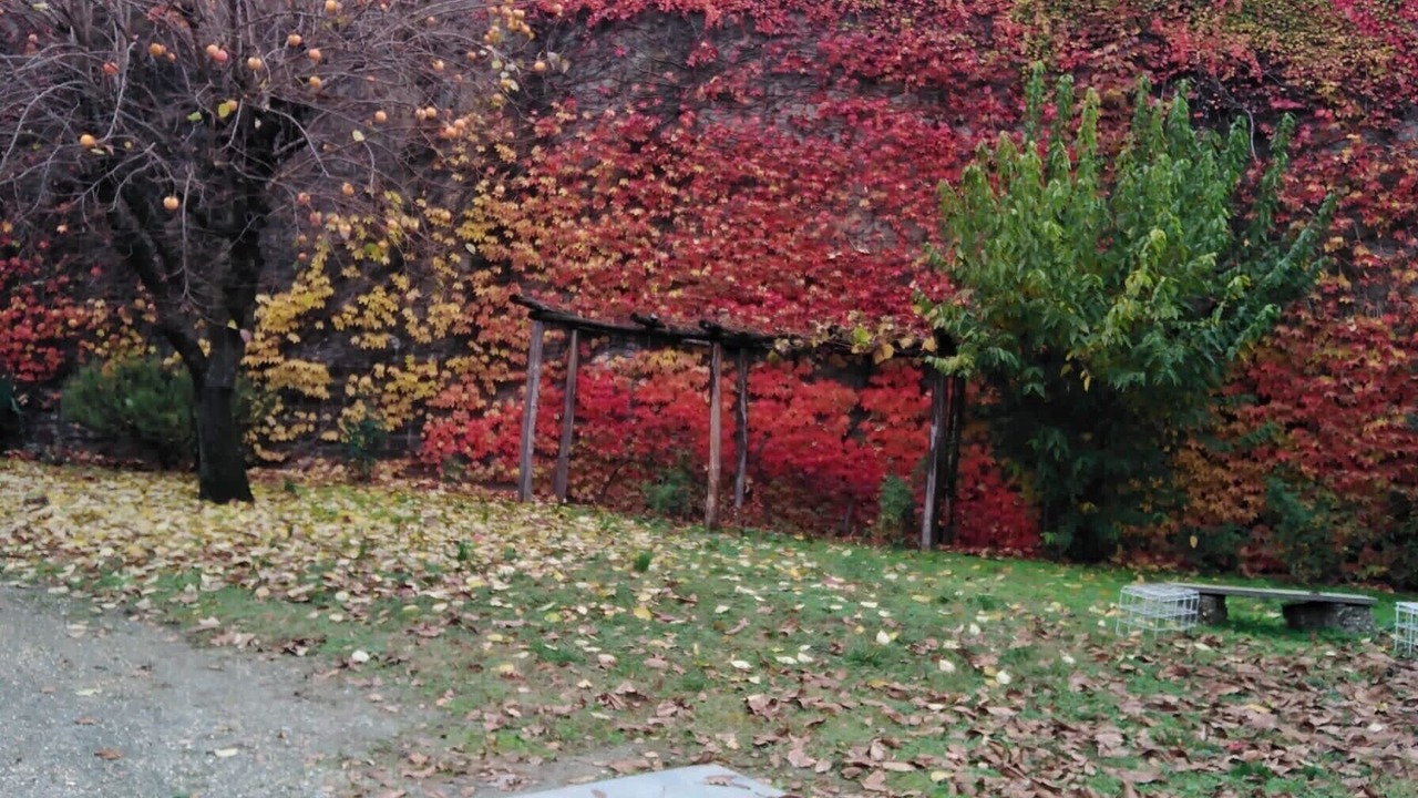 Photo of Outdoor in Canelli