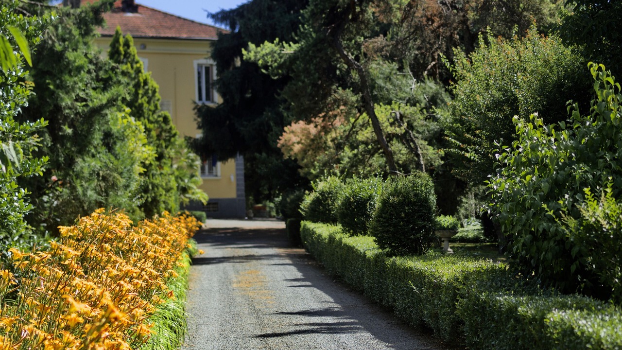 Photo of Outdoor in Canelli