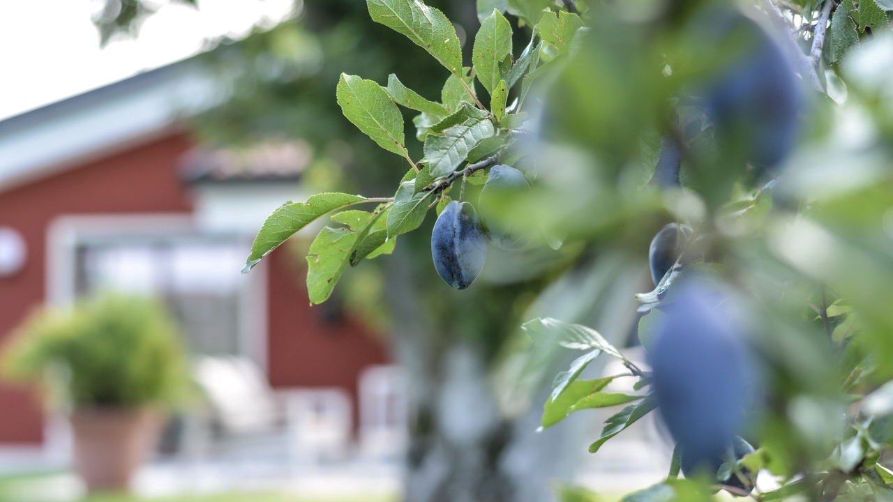 Photo of Outdoor in Cisano