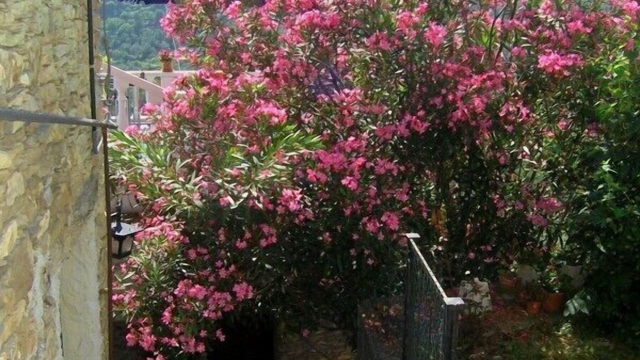 Photo of Outdoor in Costa