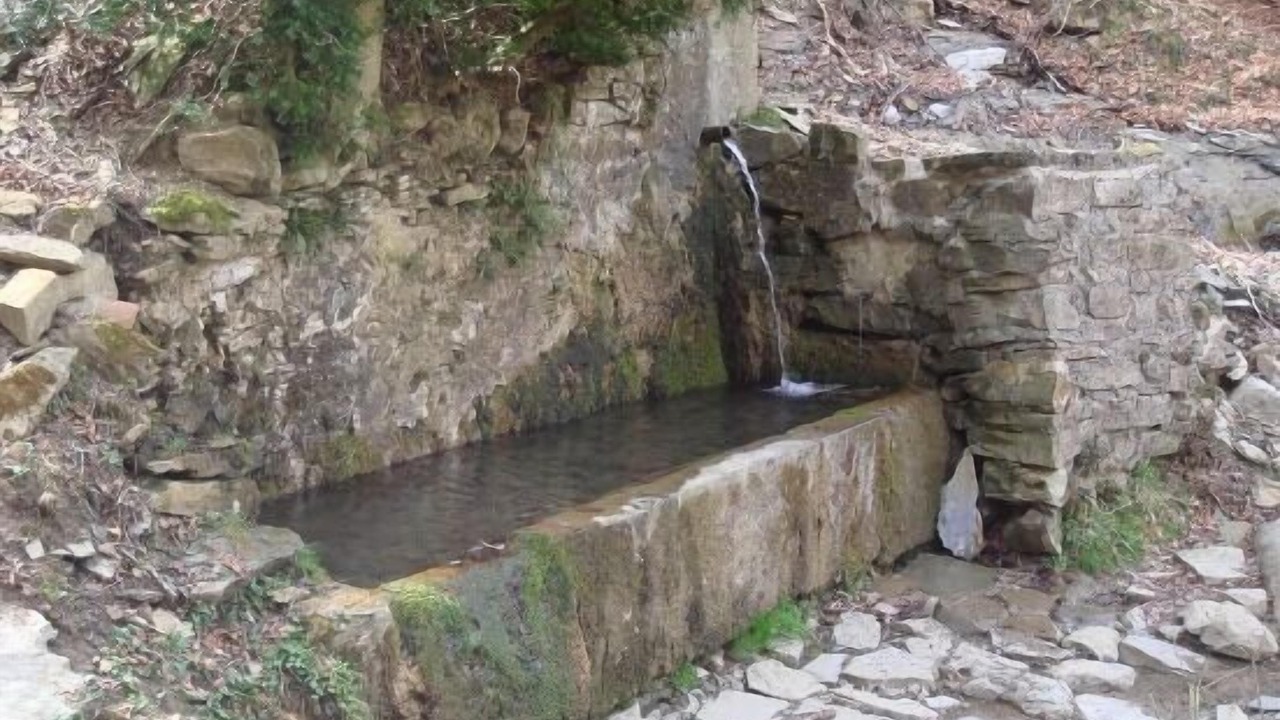 Photo of Outdoor in Vidra