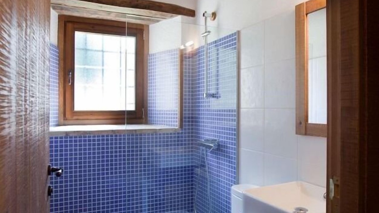 Photo of Bathroom in Vidra