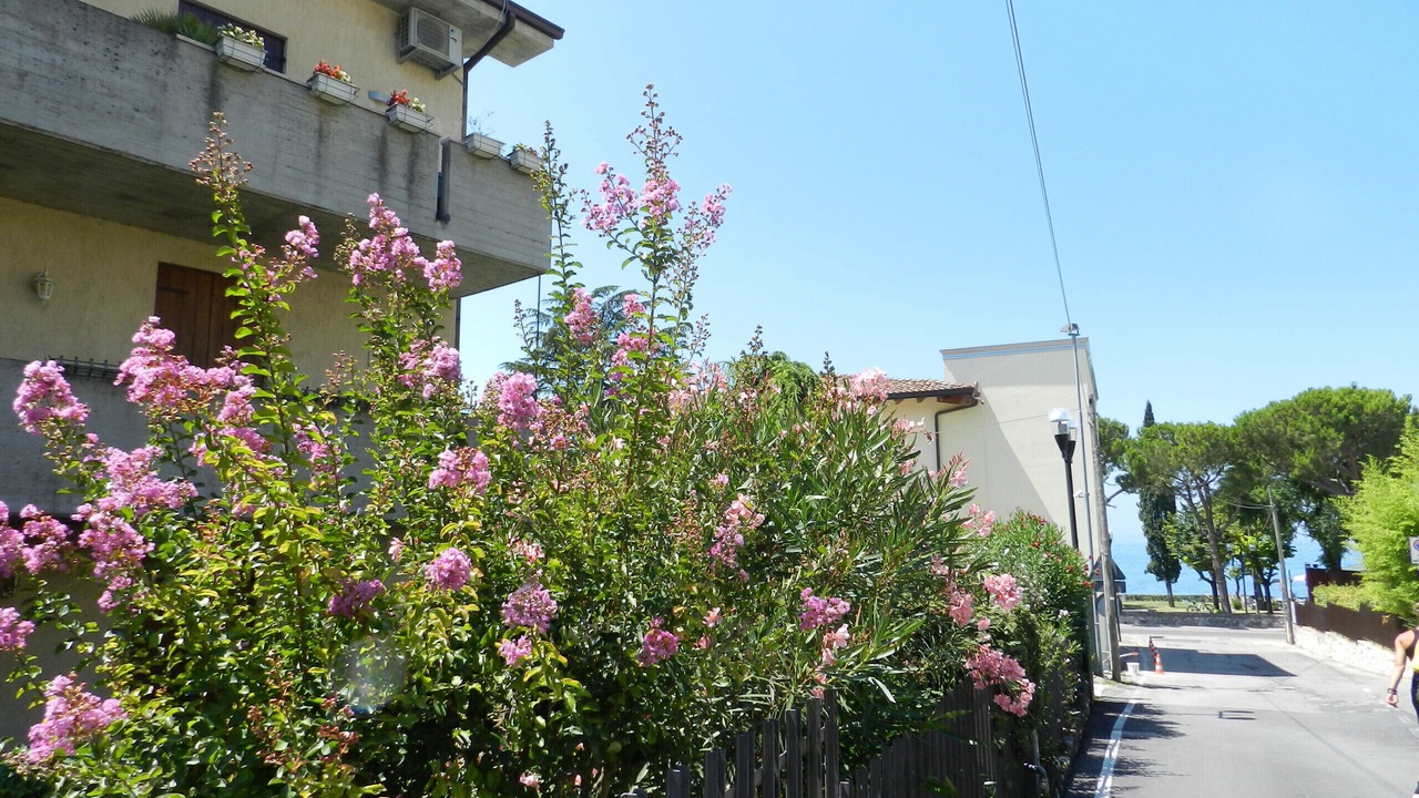 Photo of Outdoor in Cisano