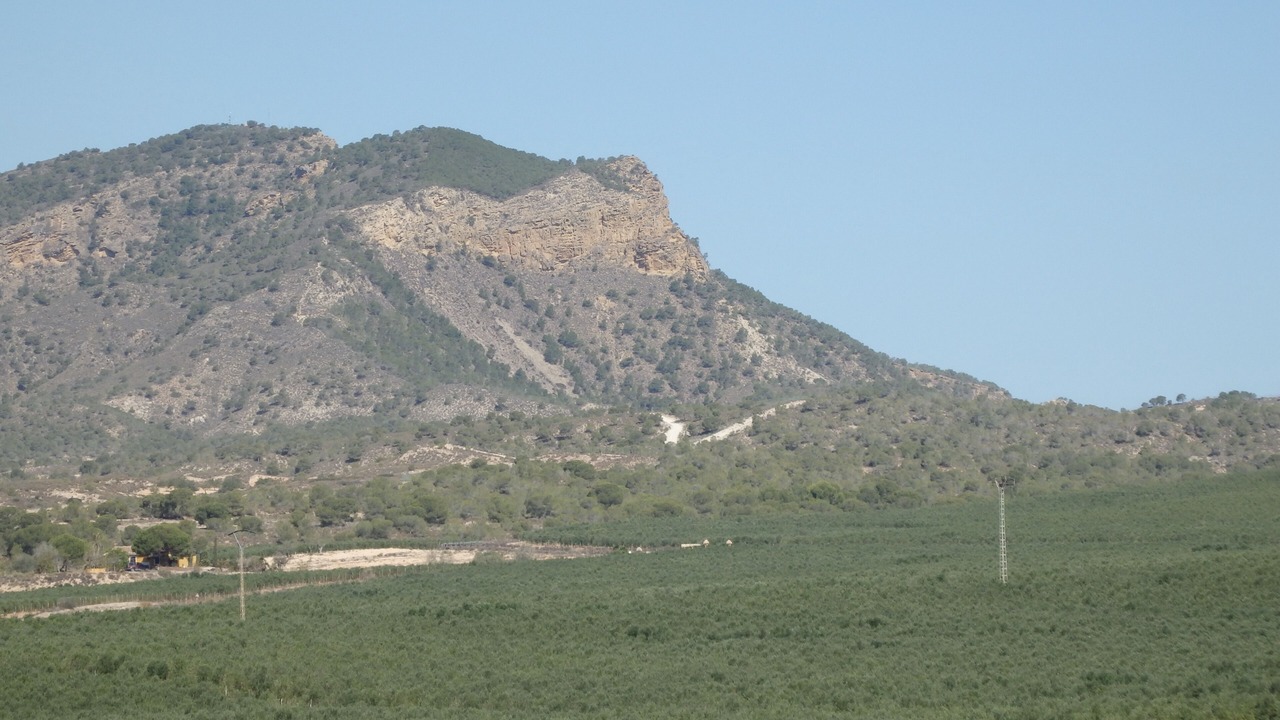 Photo of Outdoor in Gea y Truyols