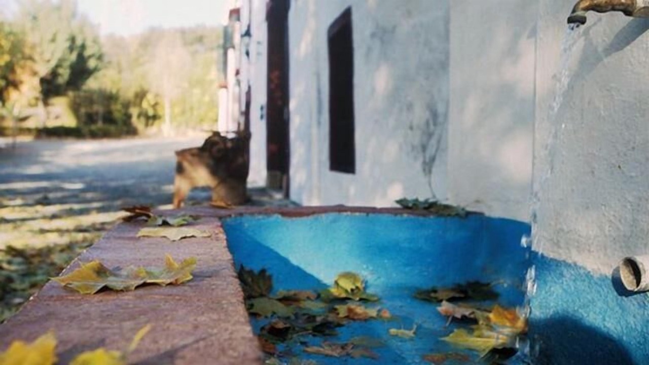 Photo of Outdoor in Cazalla De La Sierra