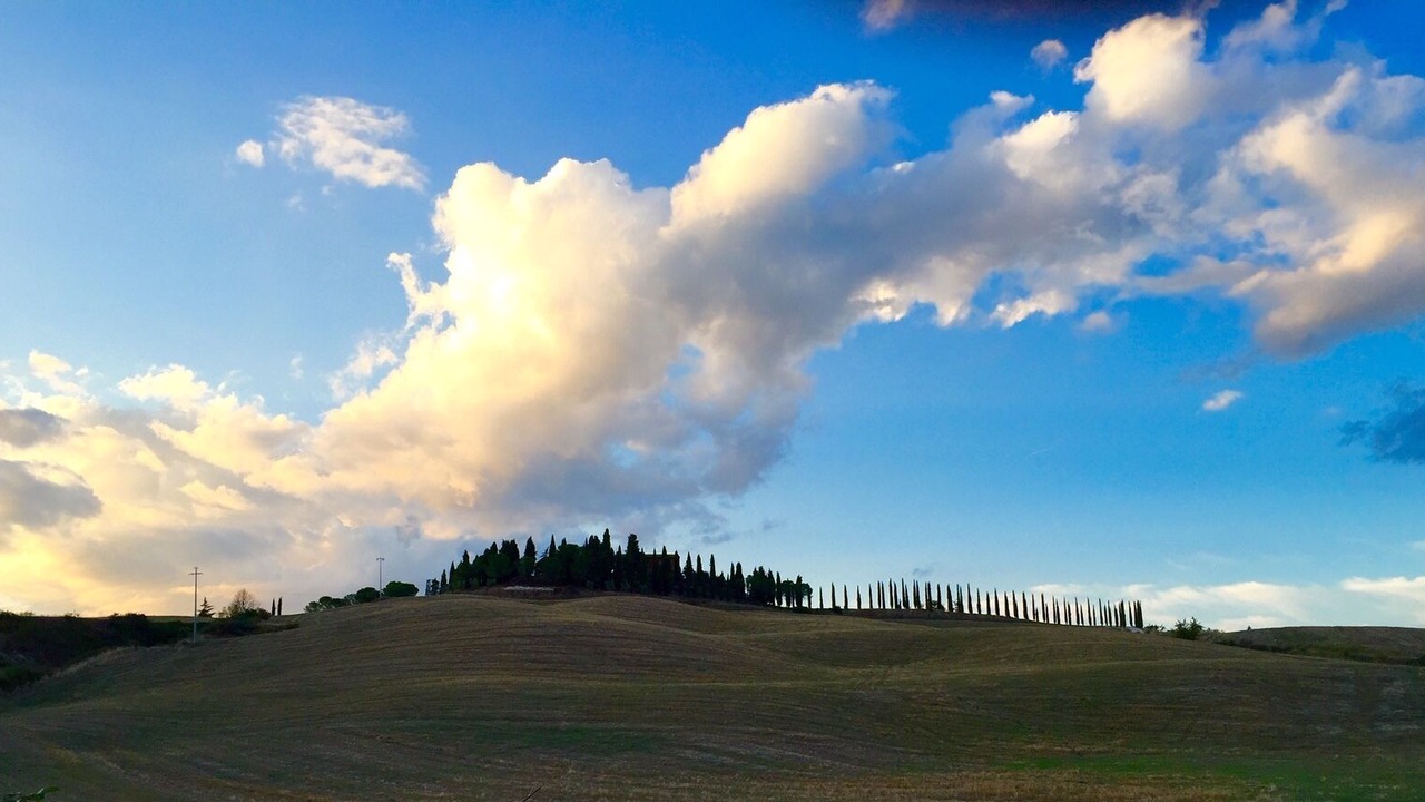 Photo of Others in Ponte di Gabbiano