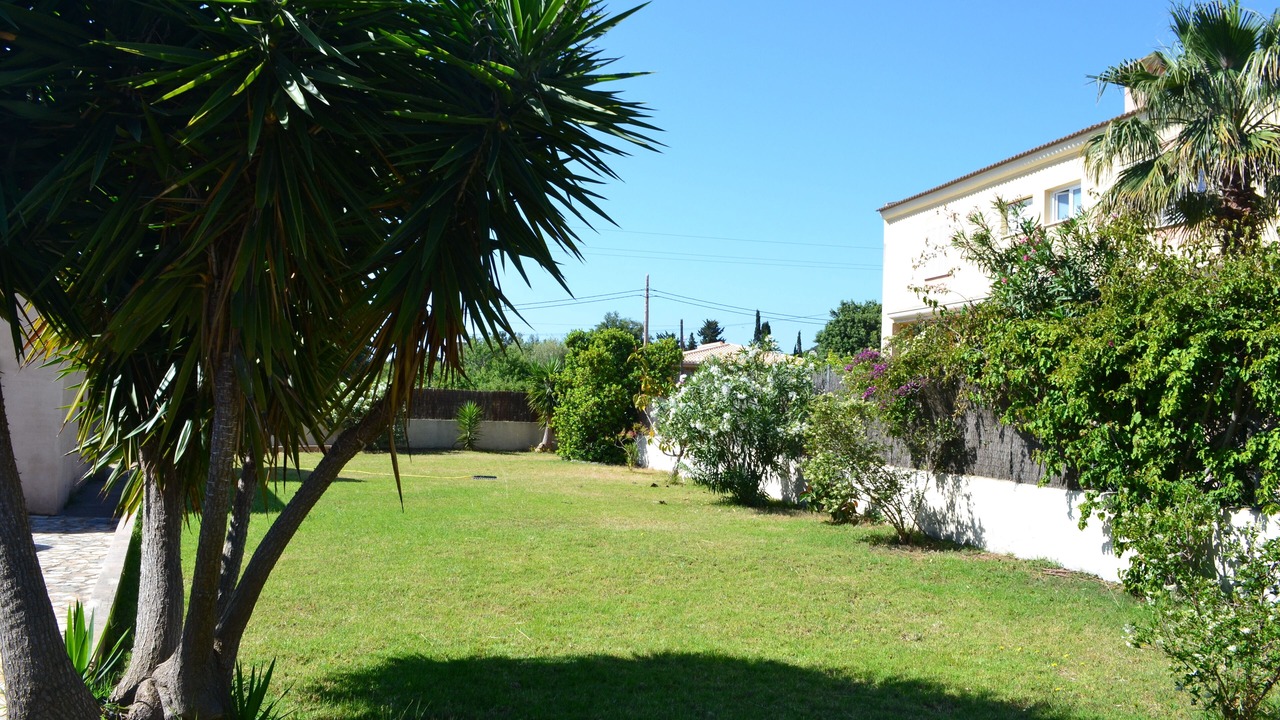 Photo of Outdoor in Son Moll
