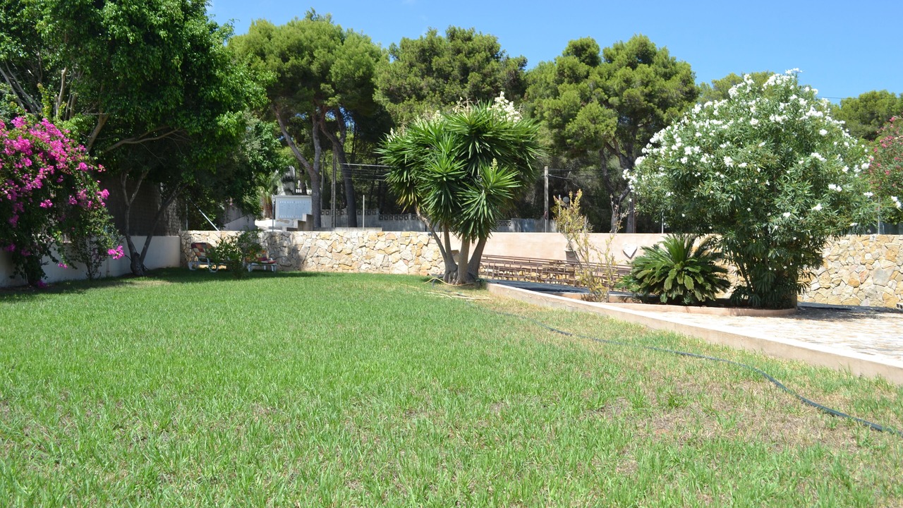 Photo of Outdoor in Son Moll