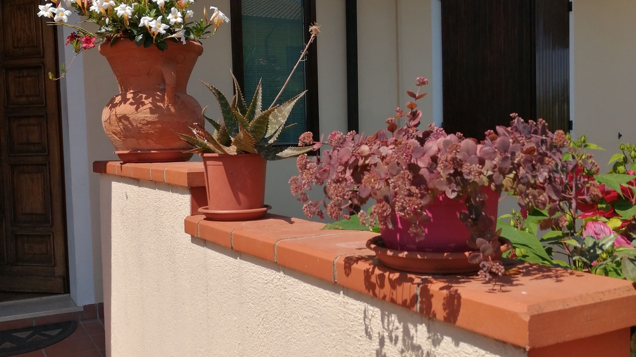 Photo of Outdoor in Savio