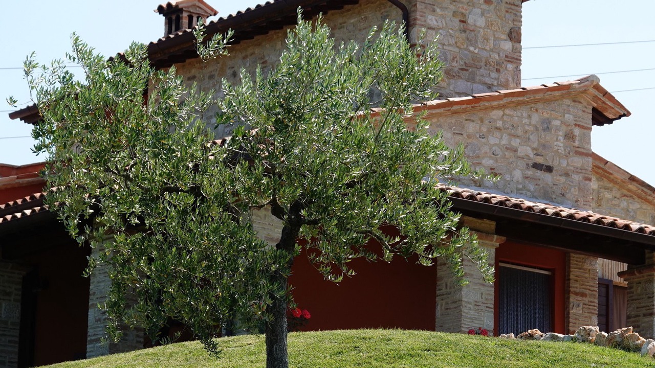 Photo of Outdoor in Todi