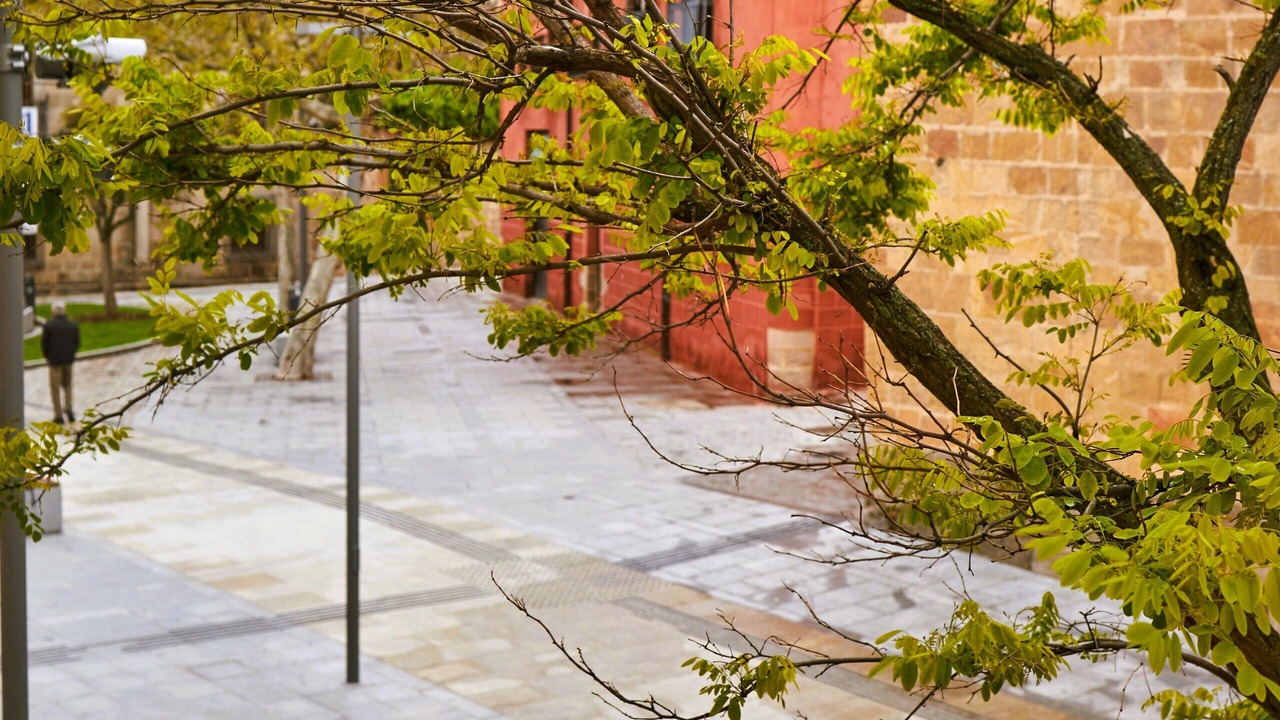 Photo of Outdoor in Avila