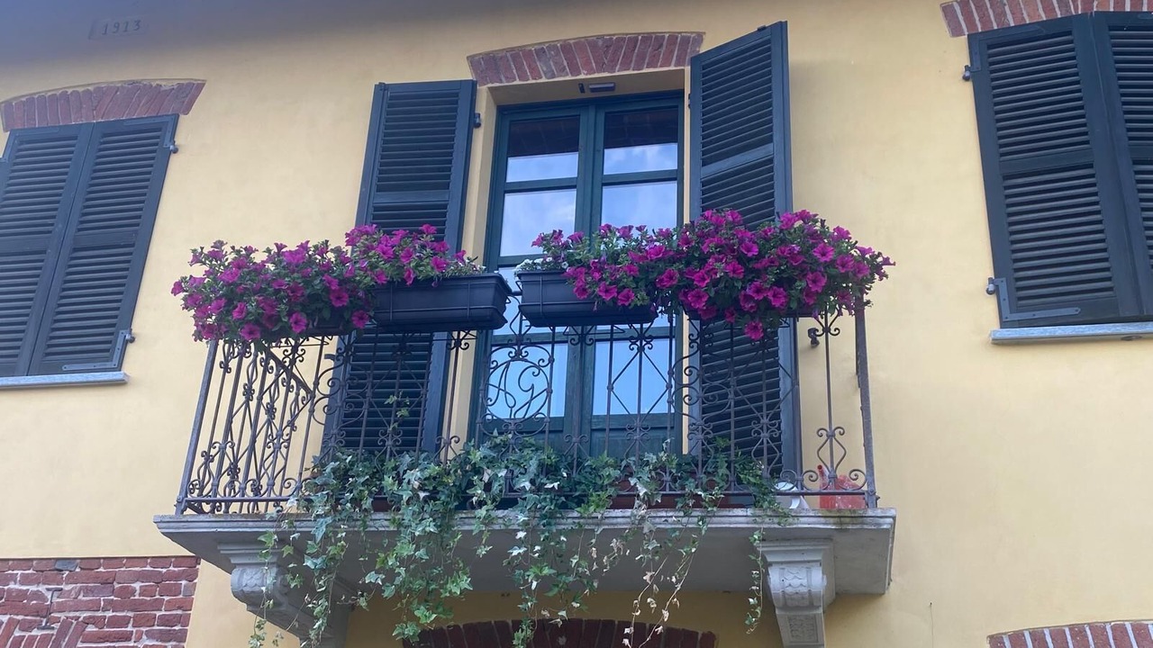 Photo of Outdoor in Cantarana