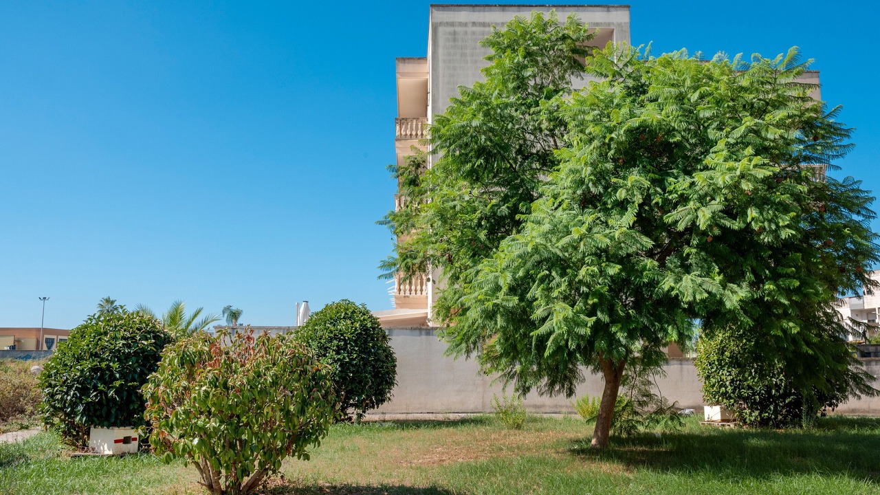 Photo of Outdoor in Castromediano
